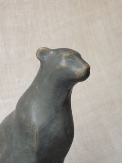 petit felin (détail)