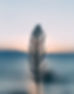 Psicoterapia online