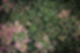 jayden-wong-SCHau0hFWwM-unsplash_edited.