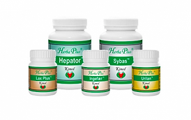 detoxpaket-utrensningspaket-herbaplus.png