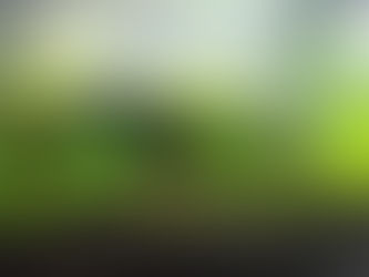 ViperMOD PrimeTime V45zip