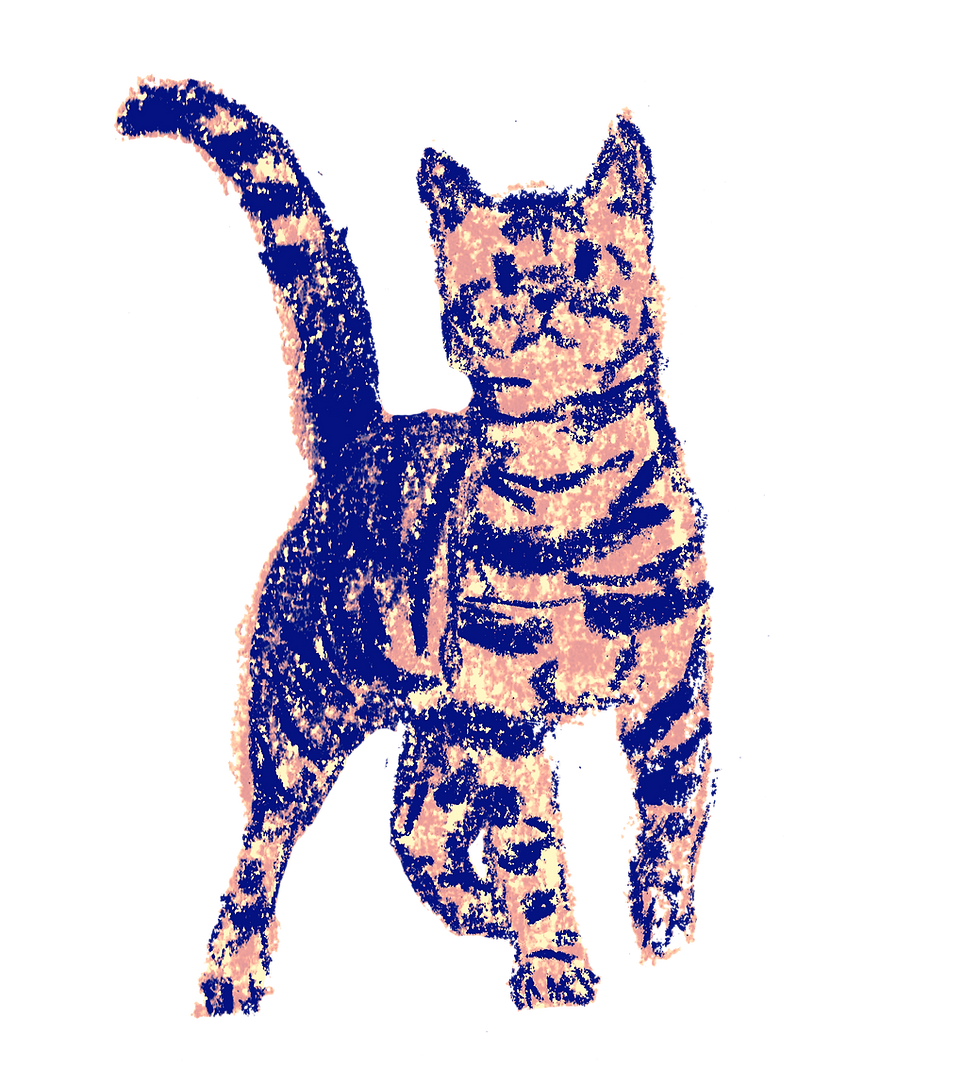 Illustration de Mikado, mascotte des Éditions Mikado