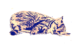 chat 09.png