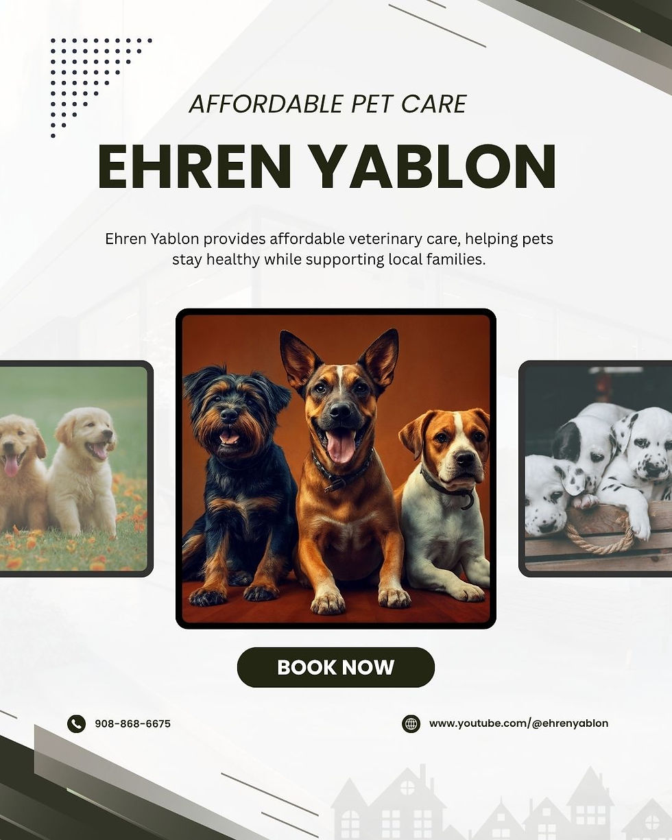 Ehren Yablon Helping Pets Live Happier Healthier Lives
