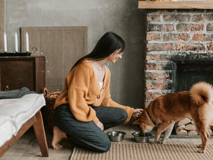 Keeping Pets at Home: The Mission Behind Ehren Yablon’s Bronx Clinic