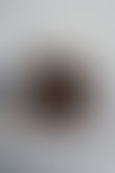 Peanut Butter Stuffed Brownies