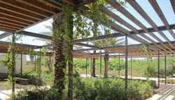 Bird-Watching-Park_13a