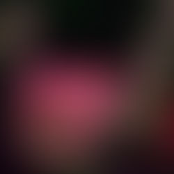 Pink Rose