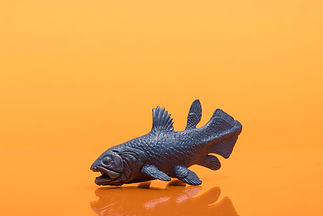 coelacanth 2 copy.jpg