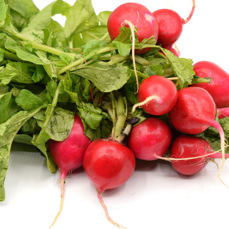 Radishes on White