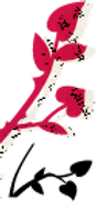LeftBranch.PNG