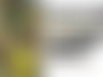 Children's Musical: Rescue in the Night - The Story of Daniel in the Lion's Den