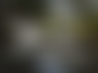 Fellowship at the Lake!