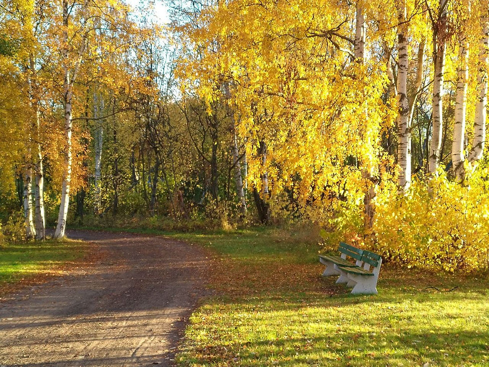 Siten ne ovet toimii...