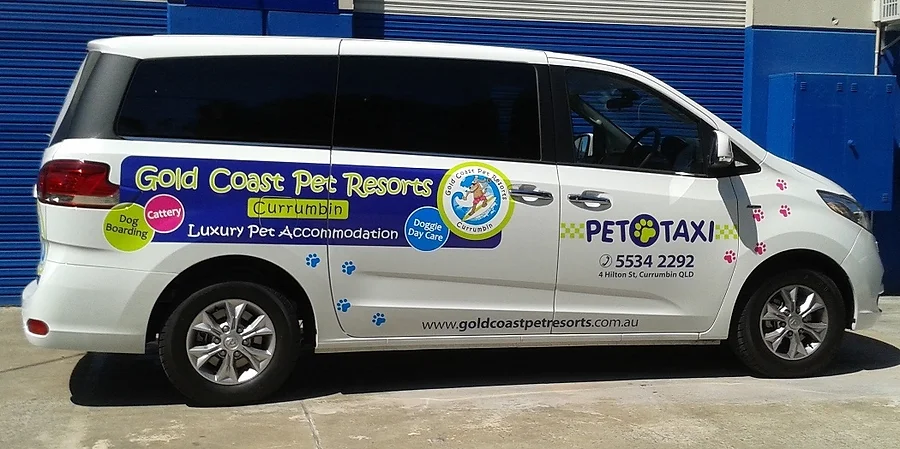 Pet Taxi side.webp