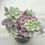 Thumbnail: Graptopertalum Caviar variegated cluster 