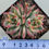 Thumbnail: Echeveria Agavoides Gohonjin variegated 