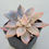 Thumbnail: Echeveria Blue bird variegated 