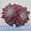 Thumbnail: Echeveria Evelyn 