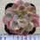 Thumbnail: Echeveria Pink harin variegated 