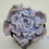 Thumbnail: Echeveria Thriller Pearl 