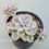 Thumbnail: Graptopetalum Caviar variegated 