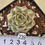 Thumbnail: Echeveria turgida variegated 