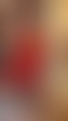 The Joshua Redman Quartet Post