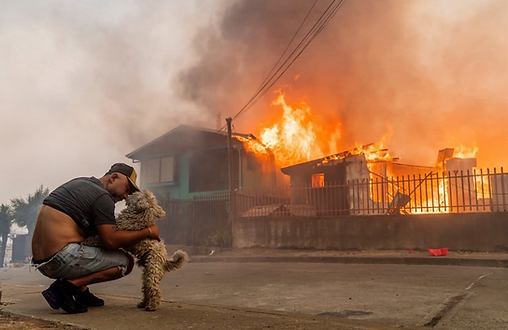 Hombre damnificado abrazando a su perro frente a un hogar incendiandose en Lirquen, Chile, el 18 de Enero de 2026 - AP/Javier Torres