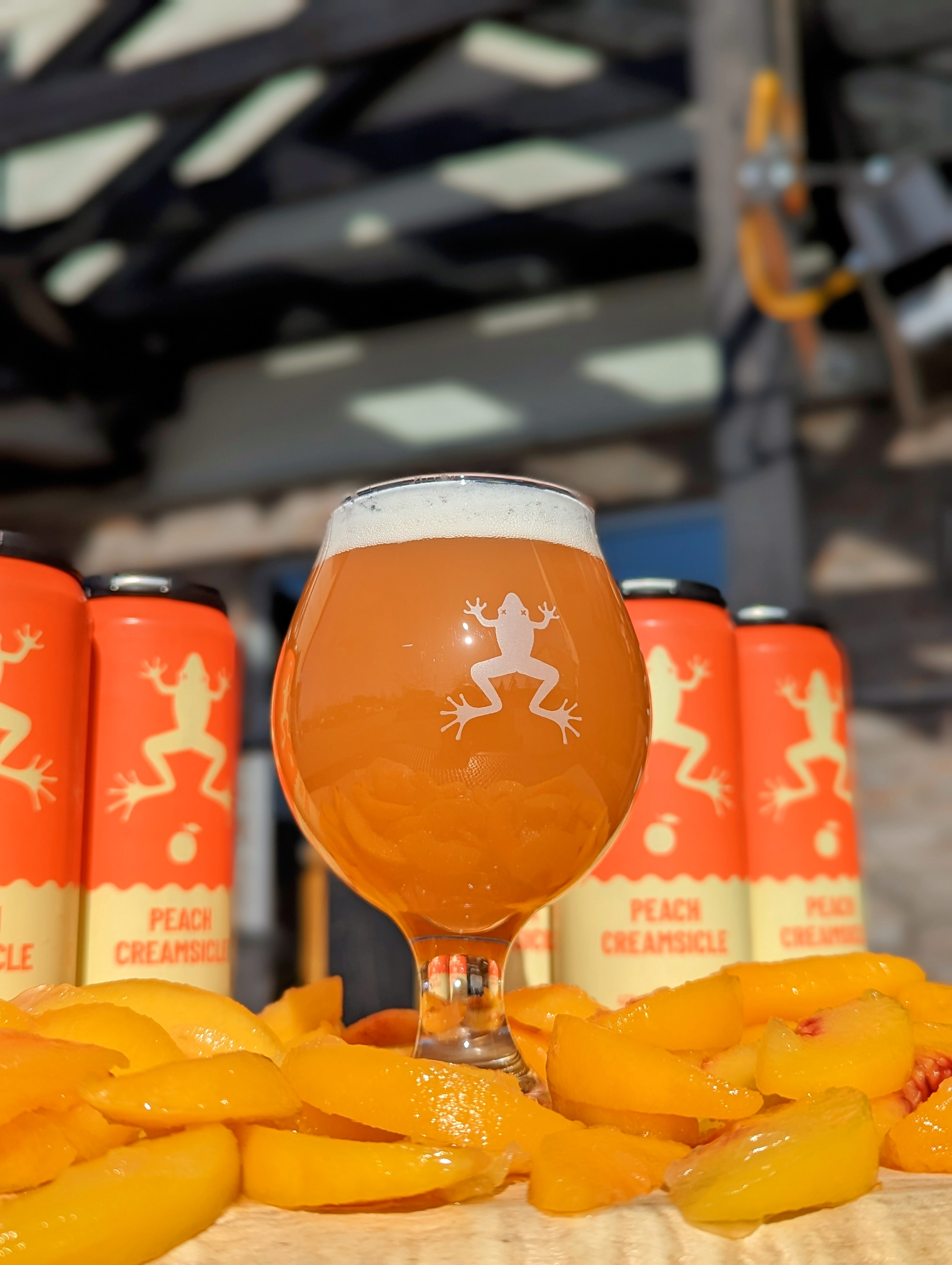 2023-02-24-PEACH CREAMSICLE 33.jpg