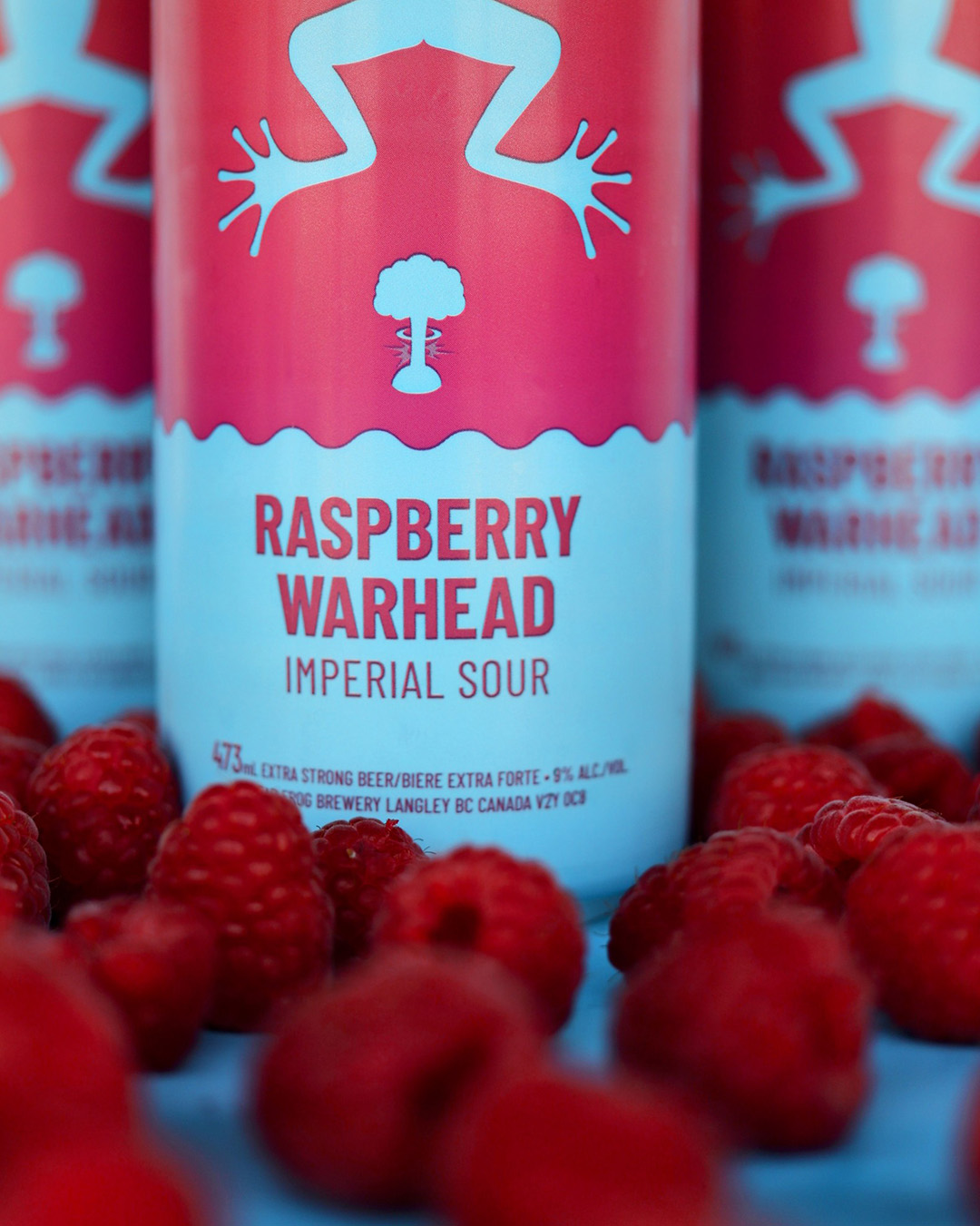 2022-10-06-RASPBERRY WARHEAD PORTRAIT 12 SM CROPPED.jpg