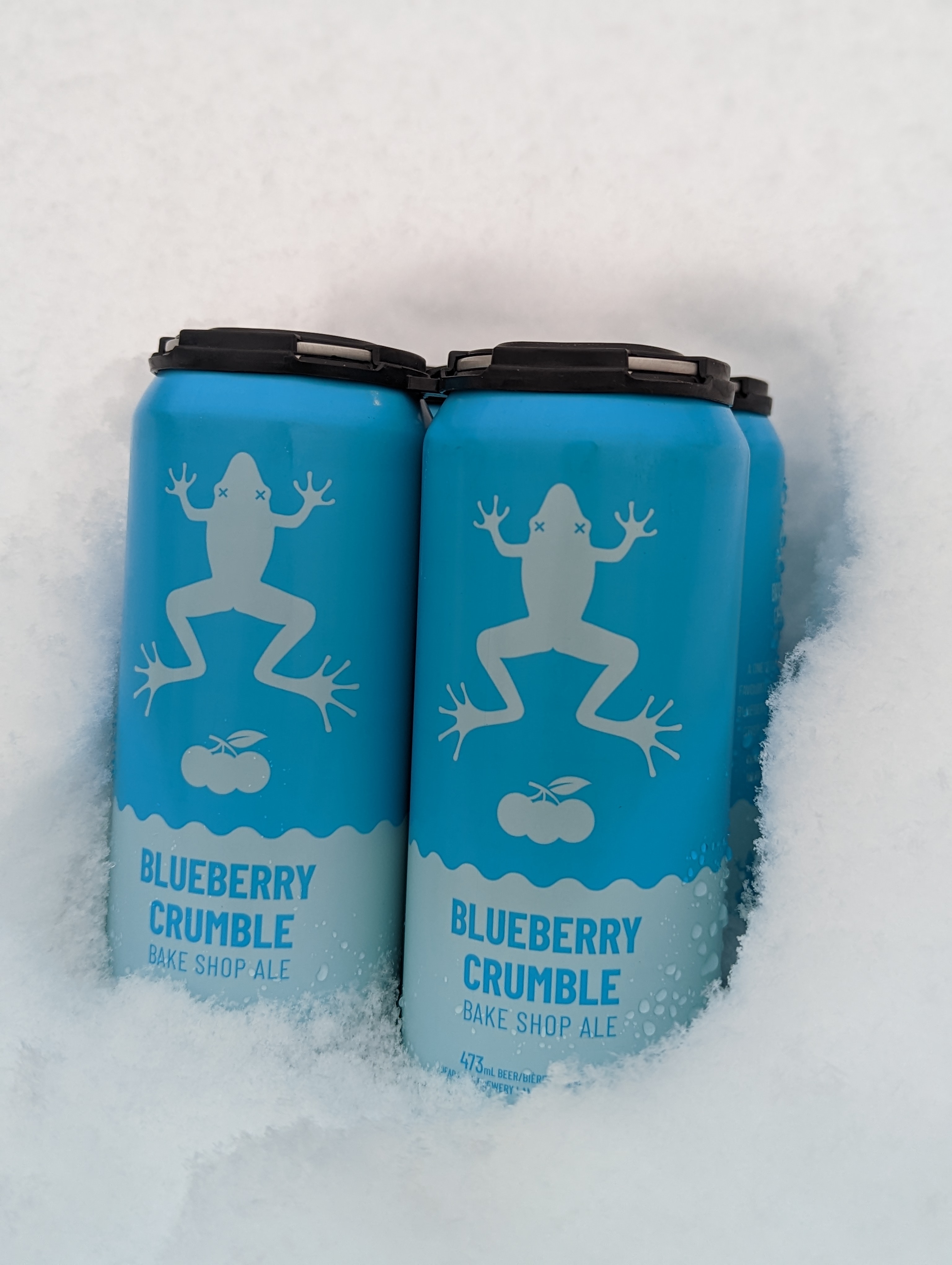 2022-12-16-BLUEBERRY CRUMBLE BAKE SHOP ALE 3.jpg