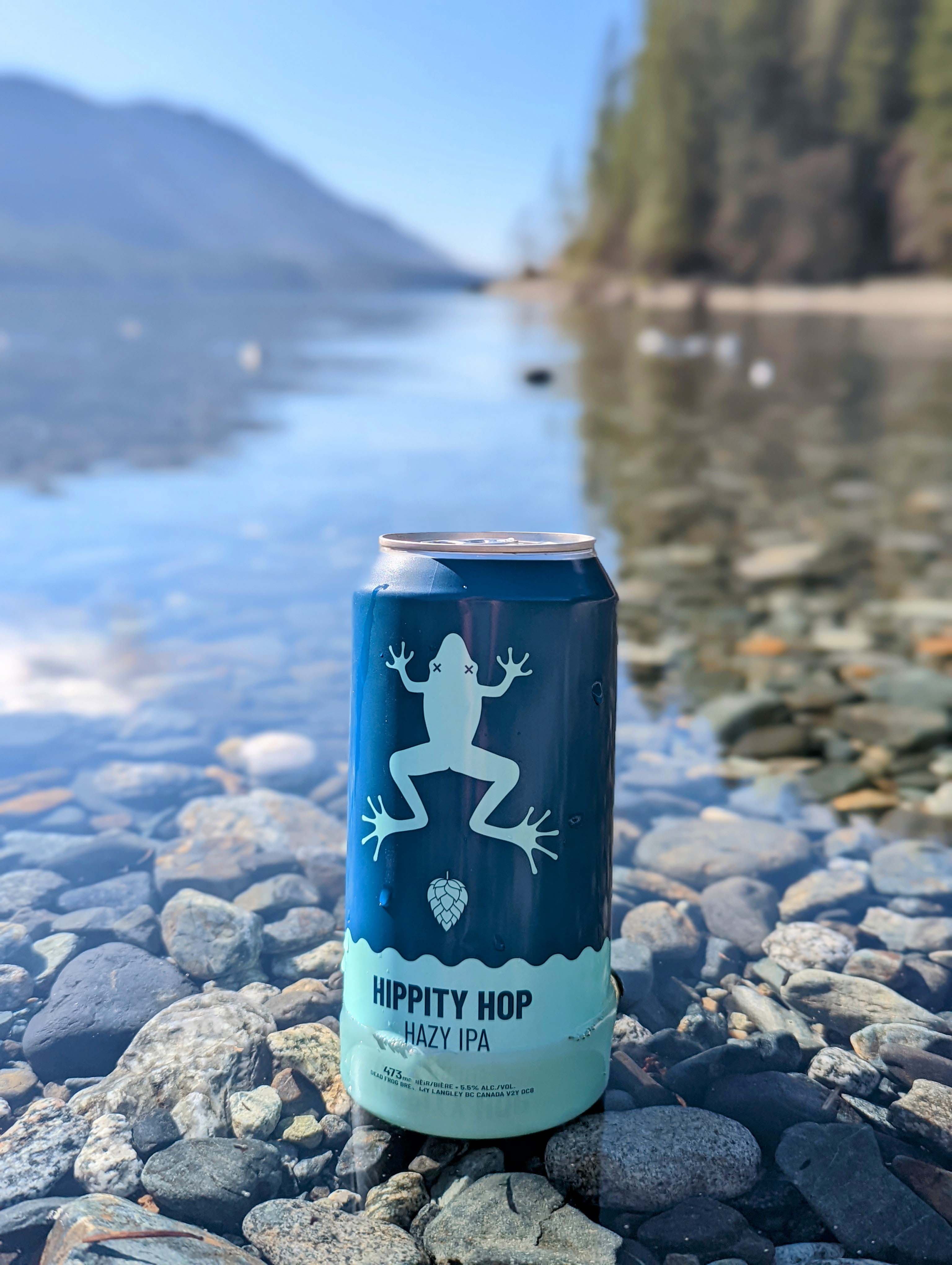 2022-03-05-HIPPITY 2.jpg