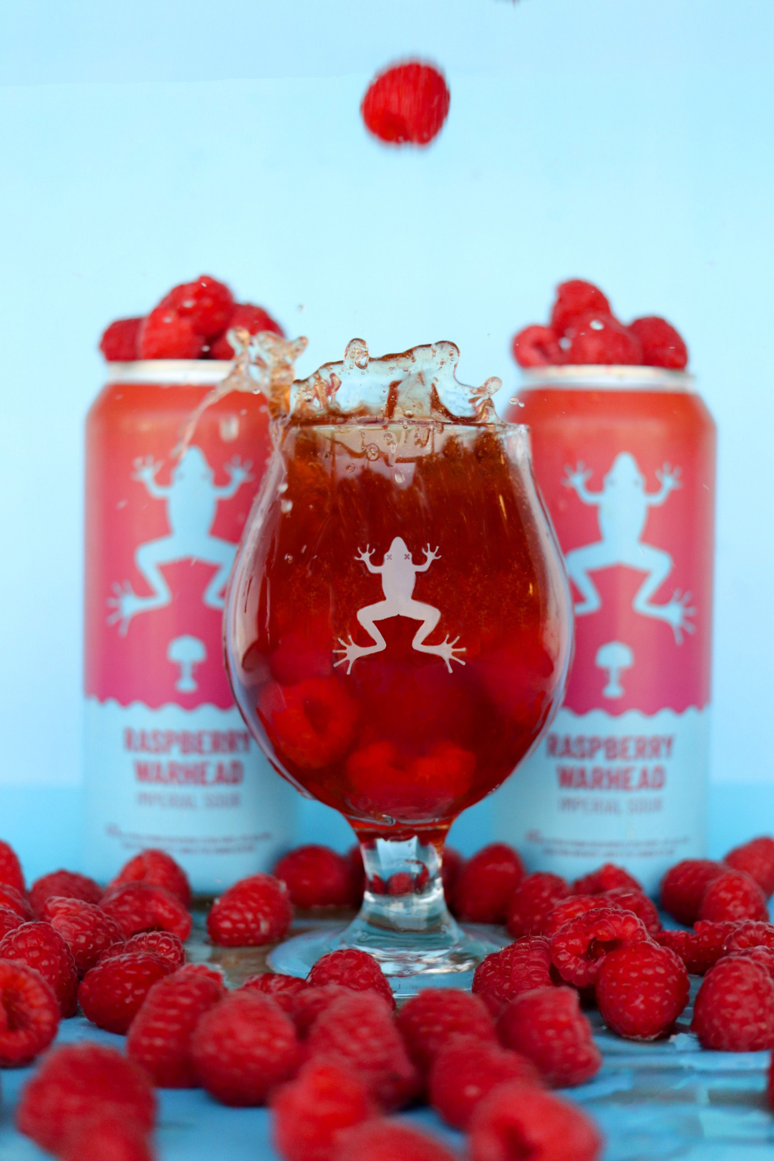 2022-10-06-RASPBERRY WARHEAD PORTRAIT 1 EDIT.jpg