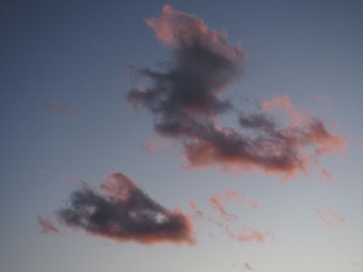 P1010166.JPG