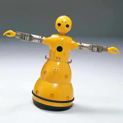 WAKAMARU | TOSHIYUKI KITA 喜多俊之