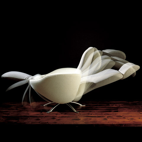 DODO | TOSHIYUKI KITA 喜多俊之