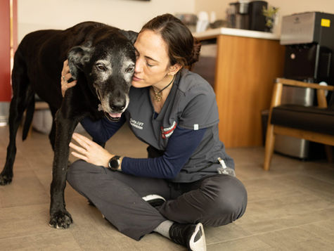 A dog is hugged by a veterinarian sitting on the floor