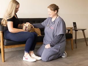 Signs Your Dog Has Anxiety & How to Treat it