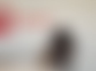 Vet Tips to Safely Prepare for Family Summer Travel with Your Pet