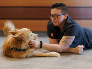 6 Symptoms of Heart Failure in Dogs and Cats