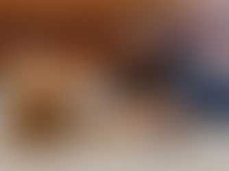 6 Symptoms of Heart Failure in Dogs and Cats