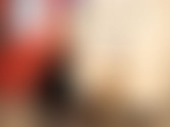 Are Holly Berries Poisonous to Dogs?