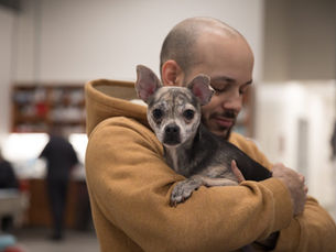 6 Reasons Why Your Dog is Losing Weight