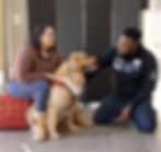 VEG ER for pets.png