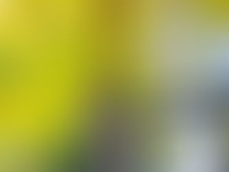 冷え込んででコリコリ 年末で仕事はゴリゴリ