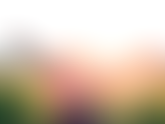 EL DESPERTAR DE LA CHISPA: DESBLOQUEA TU IKIGAI Y ENCIENDE TU PASIÓN.