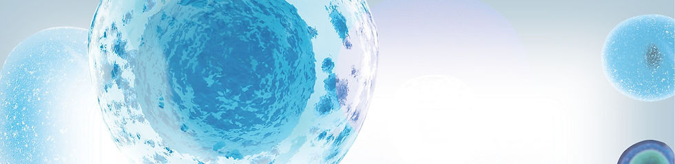 banner blue.jpg