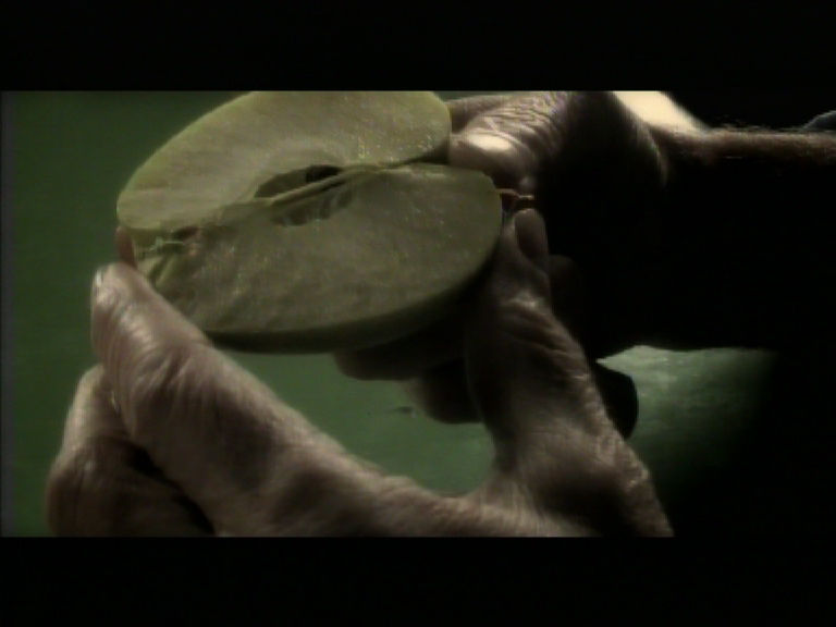 FILI © MassimoSaverioMaida