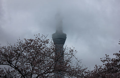 GAIJIN © MassimoSaverioMaida